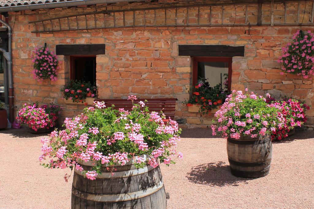 Hotel Restaurant Le Moulin De Saint Verand ภายนอก รูปภาพ