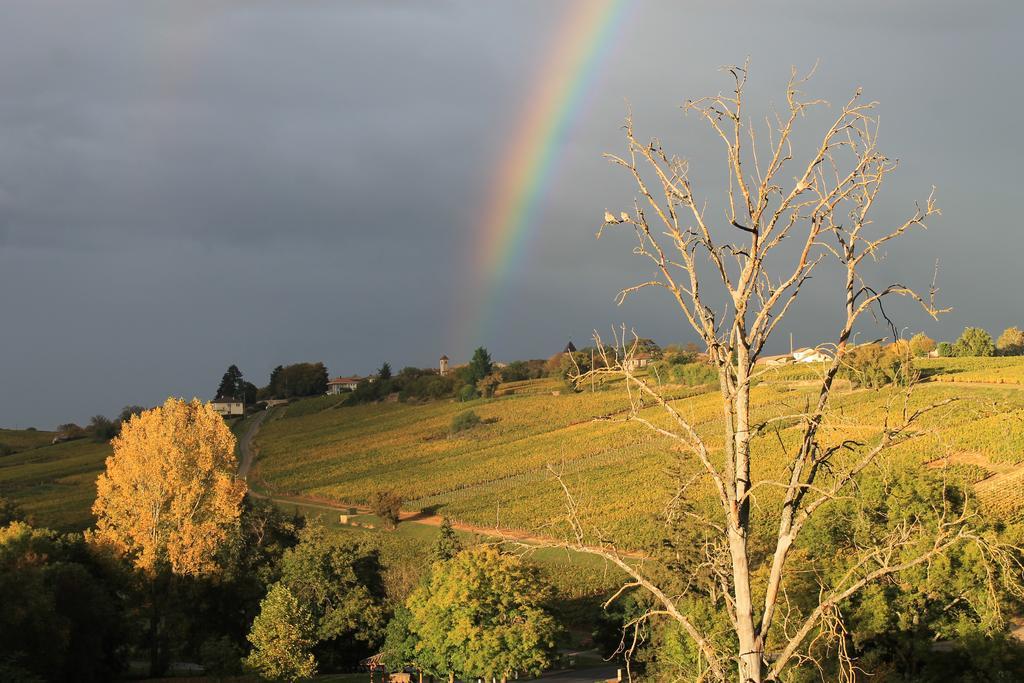 Hotel Restaurant Le Moulin De Saint Verand ภายนอก รูปภาพ