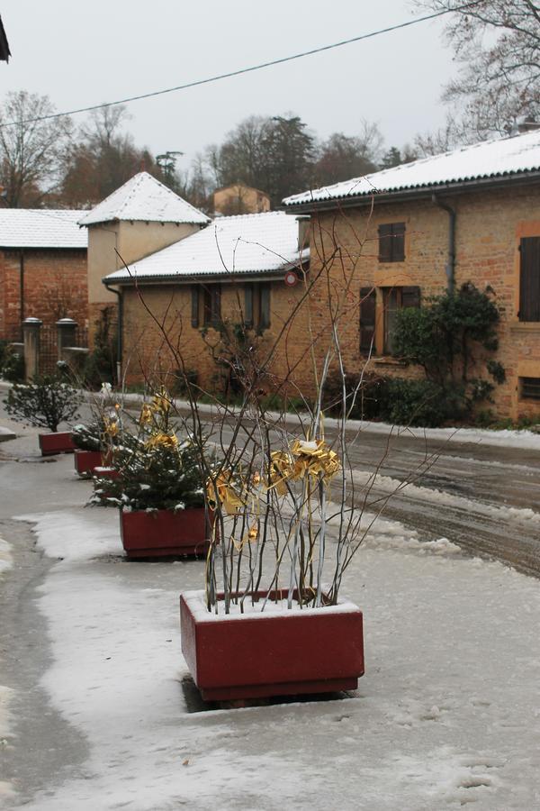 Hotel Restaurant Le Moulin De Saint Verand ภายนอก รูปภาพ