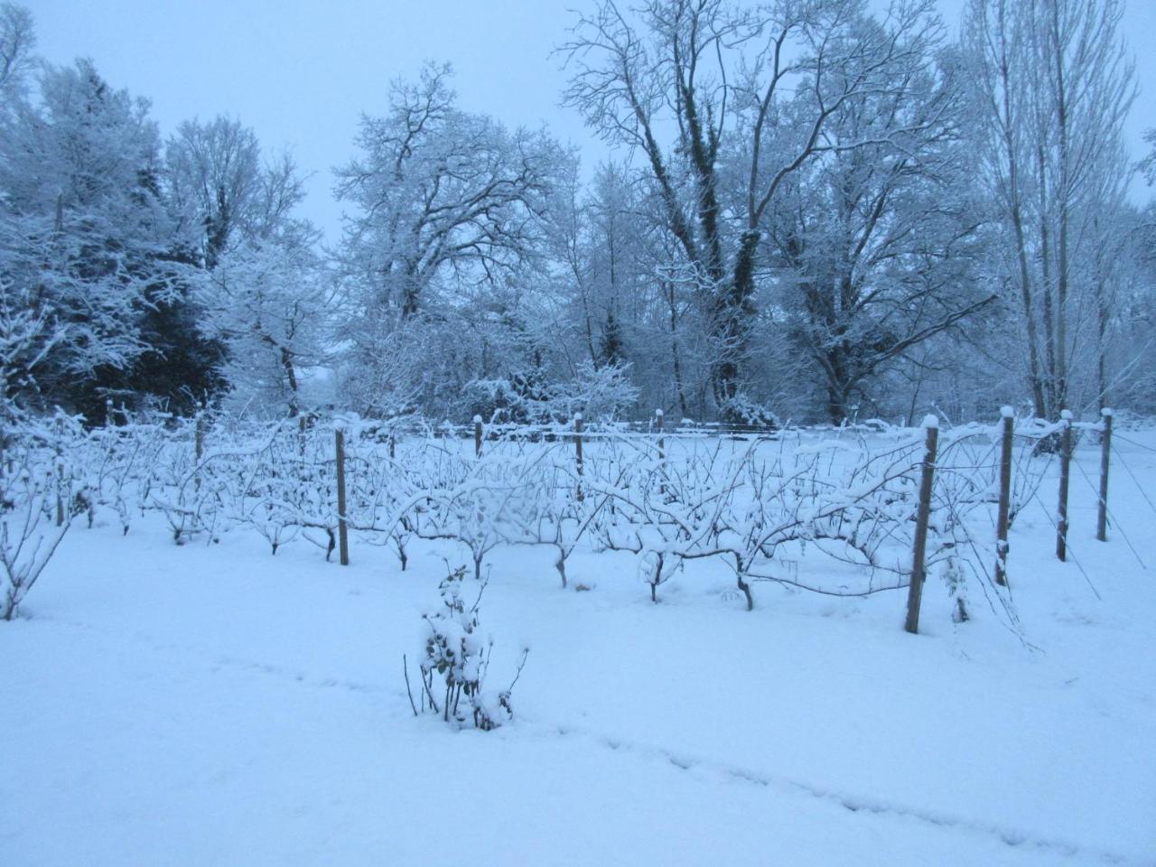 Hotel Restaurant Le Moulin De Saint Verand ภายนอก รูปภาพ